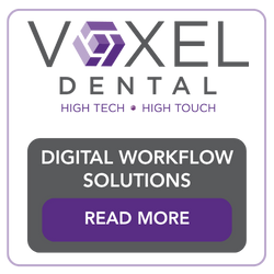 Voxel Blog Image